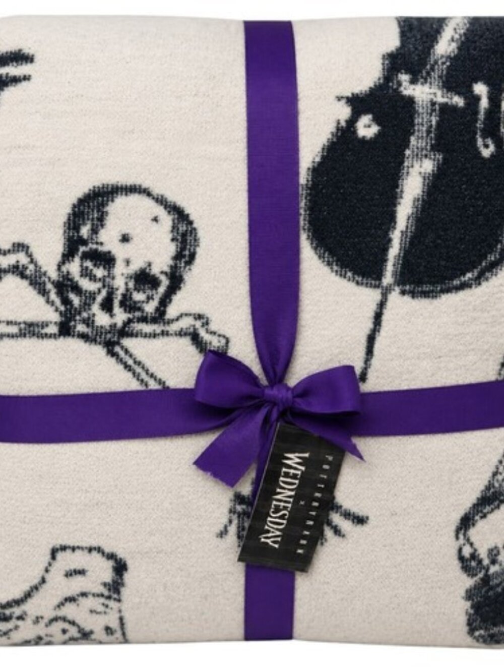 NEW Pottery Barn x Wednesday Addams Family Throw Blanket 50x60 Gothic